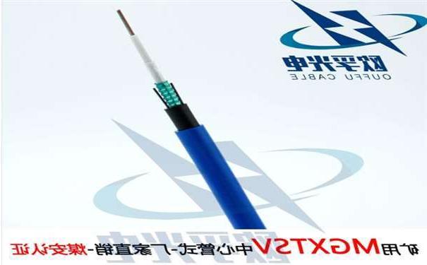 徐州市欧孚MGXTSV-8B1 矿用单模阻燃光缆G652D纤芯煤安证书